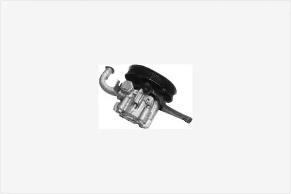 Hydraulic Pump, steering (PA2317)