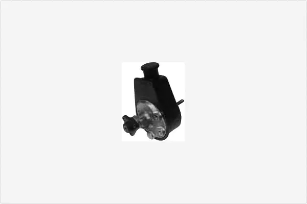 Hydraulic Pump, steering (PA717)