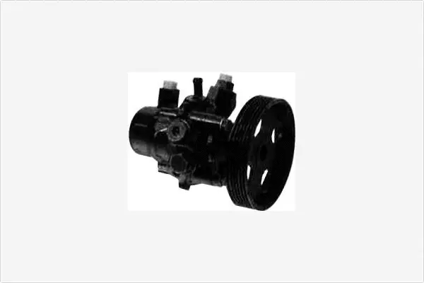 Hydraulic Pump, steering