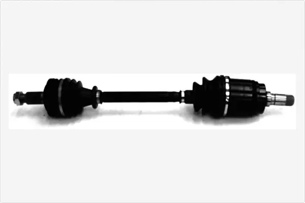 Drive Shaft (3344102)