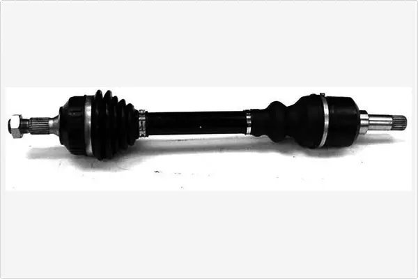 Drive Shaft (3068059)
