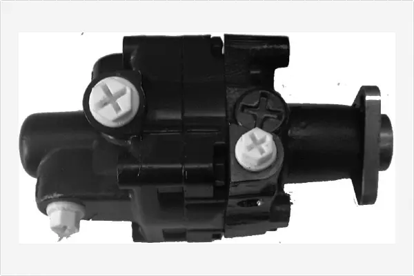 Hydraulic Pump, steering (PA1921)