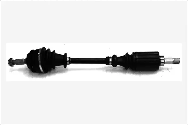 Drive Shaft