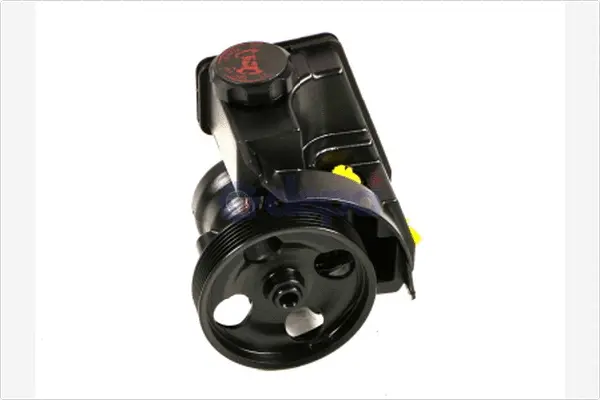 Hydraulic Pump, steering (PA209)