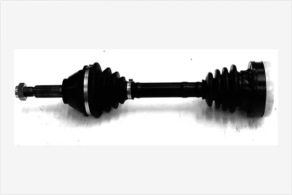 Drive Shaft (3269505)