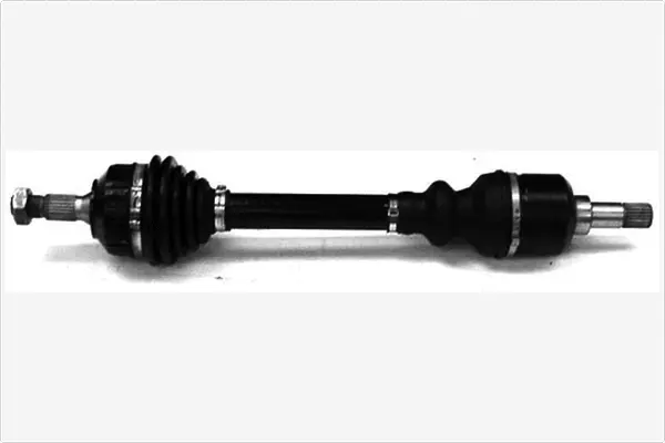 Drive Shaft (3068079)