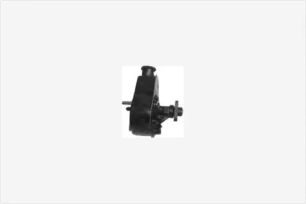 Hydraulic Pump, steering (PA755)