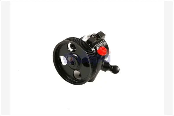 Hydraulic Pump, steering (PA112)