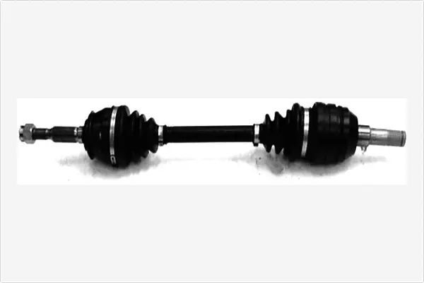 Drive Shaft (3491157)