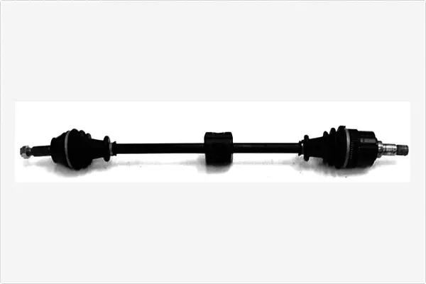 Drive Shaft (3251100)