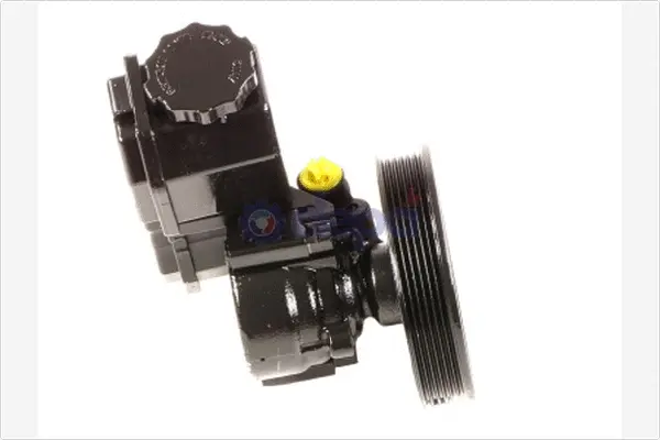 Hydraulic Pump, steering (PA828)
