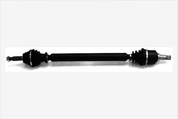 Drive Shaft (3254500)