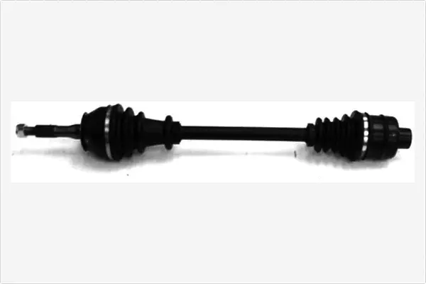 Drive Shaft (3029000)