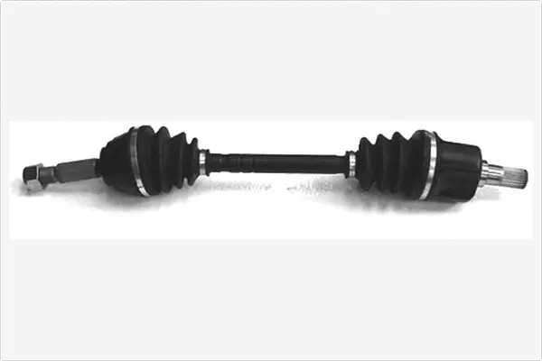 Drive Shaft (3524600)