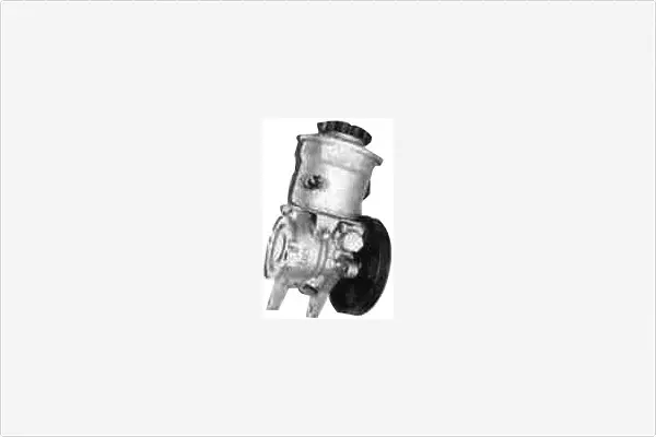 Hydraulic Pump, steering (PA1633)