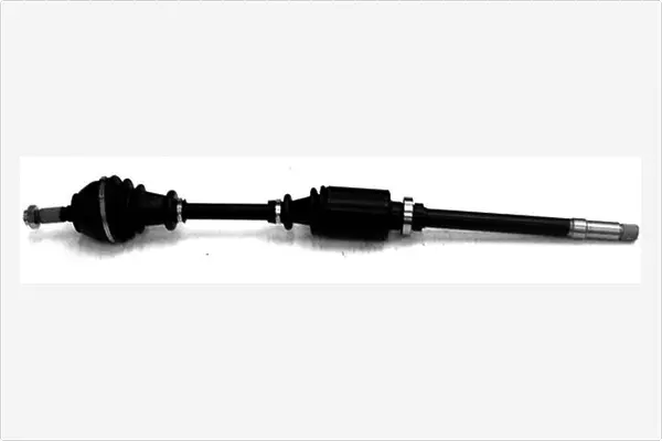 Drive Shaft (3066900)