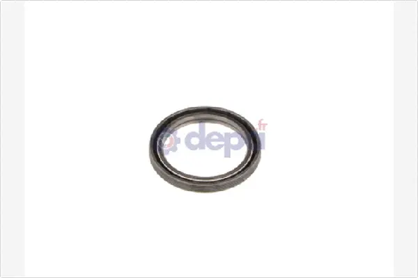 Shaft Seal, differential (B4862)
