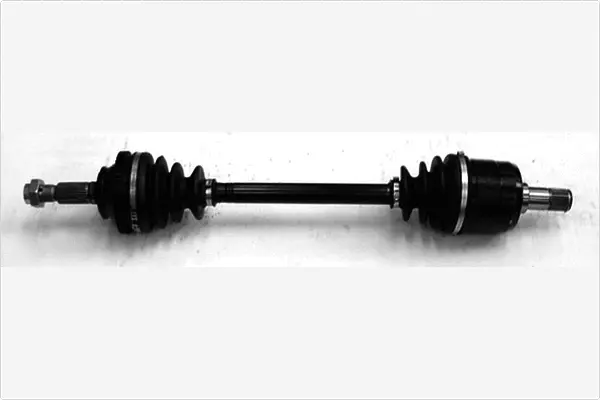 Drive Shaft (3131855)
