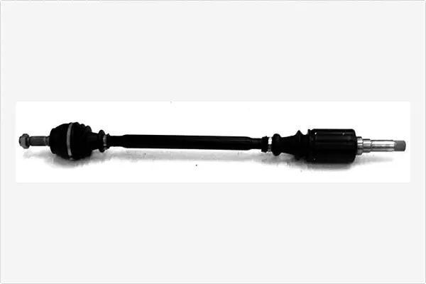 Drive Shaft (3061748)