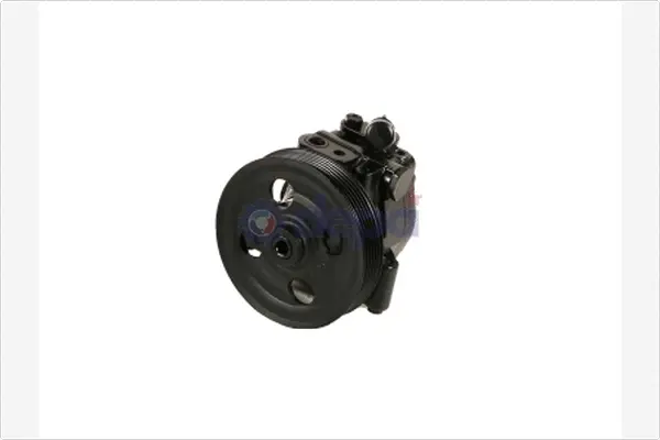 Hydraulic Pump, steering (PA798)