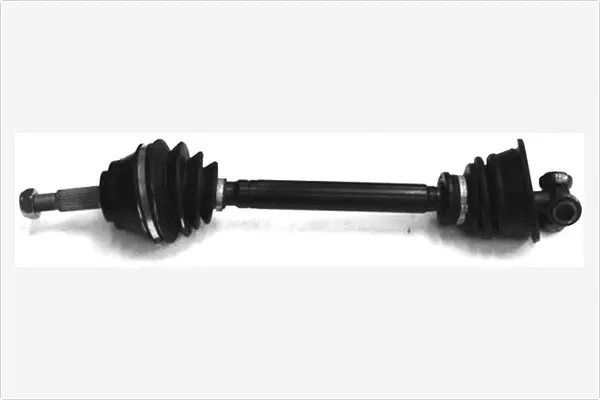 Drive Shaft (3023654)