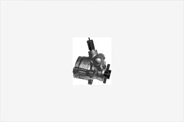 Hydraulic Pump, steering (PA737)
