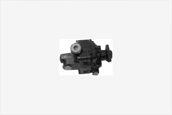 Hydraulic Pump, steering (PA505)