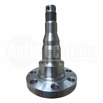 Steering Knuckle, wheel suspension (350 1004)