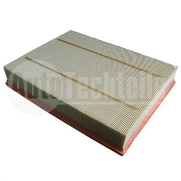Air Filter (100 0925)