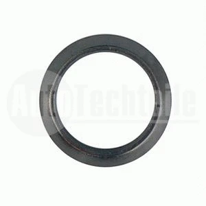 Gasket, exhaust pipe (100 4959)