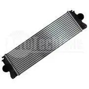 Charge Air Cooler (100 5039)