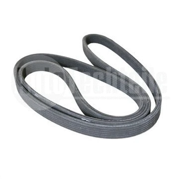 V-Ribbed Belt (100 9934)