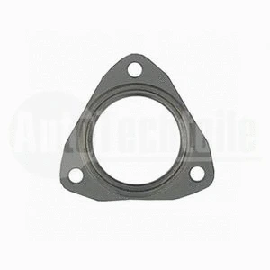 Gasket, exhaust pipe (325 3001)