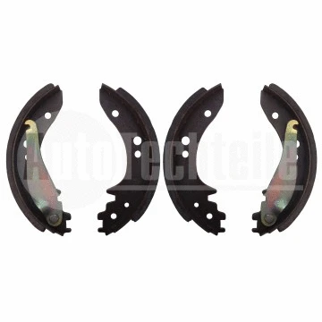 Brake Shoe Set (100 4306)
