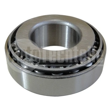 Bearing (100 9833)