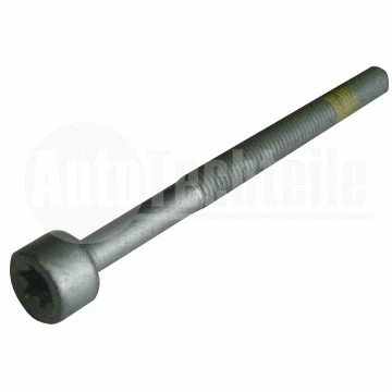 Screw, injection nozzle holder (100 0703)