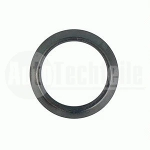 Seal Ring, exhaust pipe (100 4960)