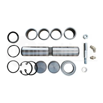 Repair Kit, kingpin (100 3350)