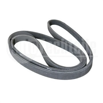 V-Ribbed Belt (100 9920)