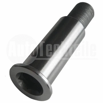 Tensioner Lever, V-ribbed belt (100 2001)