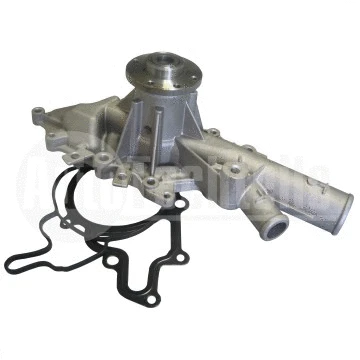 Water Pump, engine cooling (100 2011)