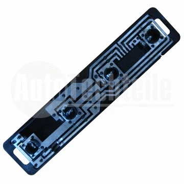 Tail Light Assembly (100 8224)