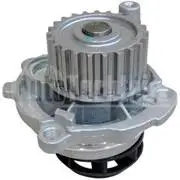 Water Pump, engine cooling (312 1008)