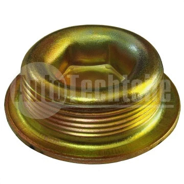 Screw Plug, crankcase (100 9902)