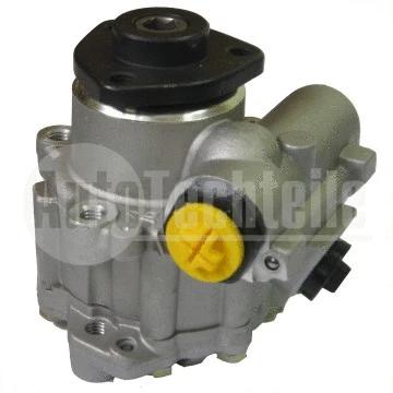 Hydraulic Pump, steering (100 4606)