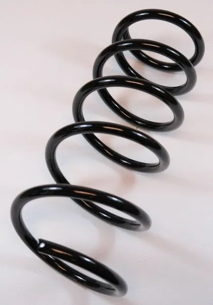 Suspension Spring (64113)