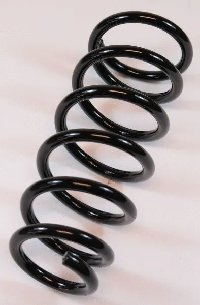 Suspension Spring (63869)