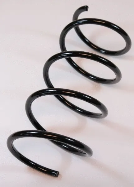 Suspension Spring (63000)