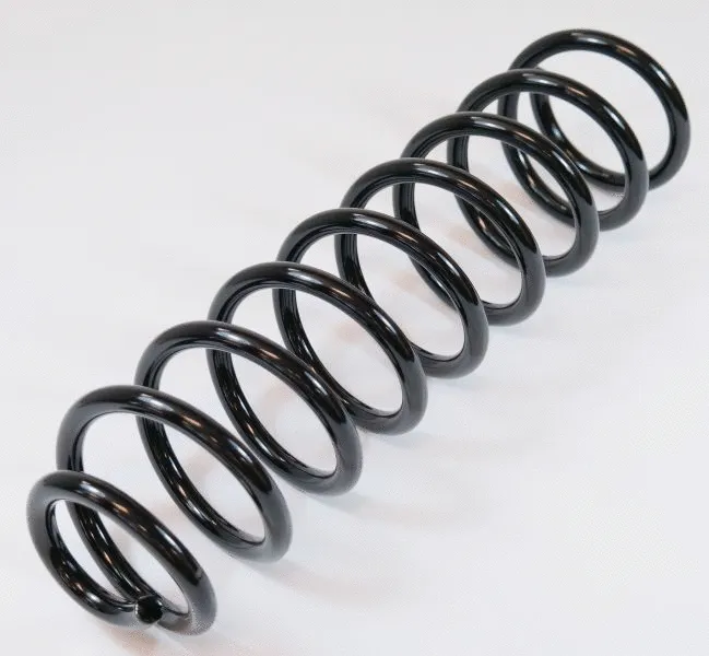 Suspension Spring (63763)