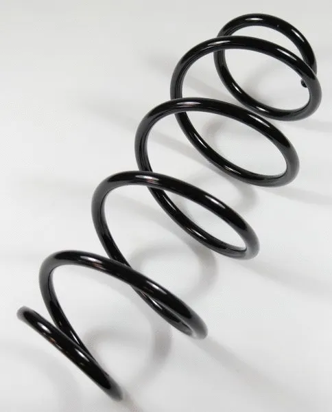 Suspension Spring (66517)
